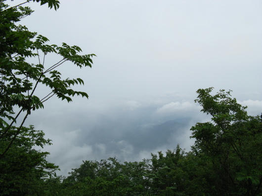 IMG_4506.JPG