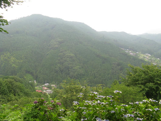 IMG_5184.JPG
