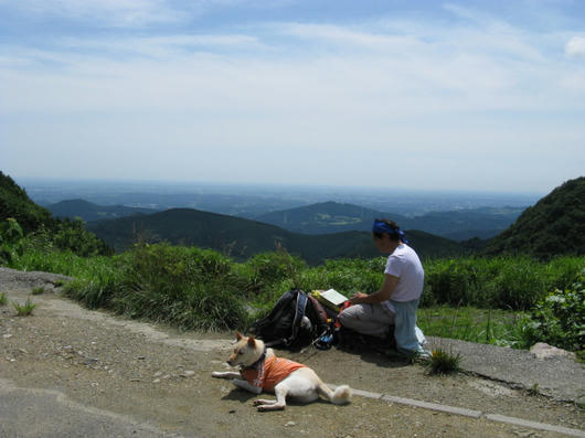 IMG_5322.JPG