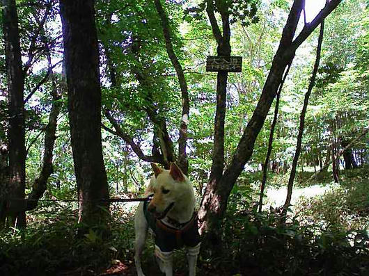 100718_110905.jpg