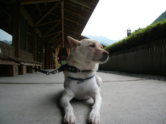 DSCF3314.JPG