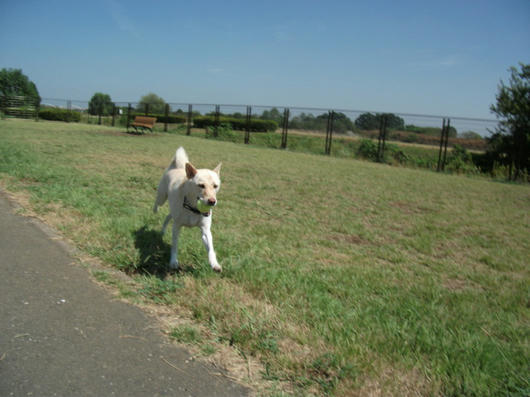 DSCF3576.JPG
