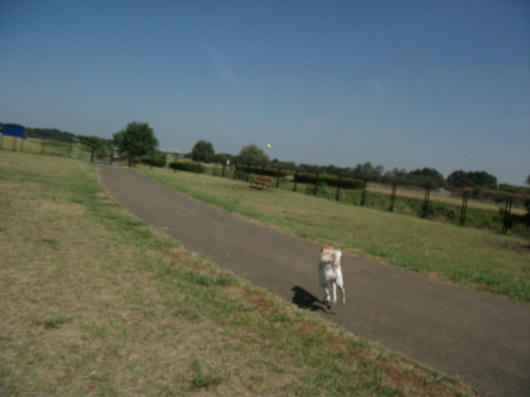 DSCF3575.JPG