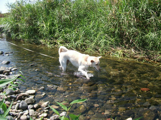 DSCF3608.JPG