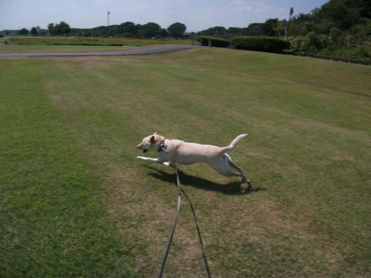 DSCF3625.JPG