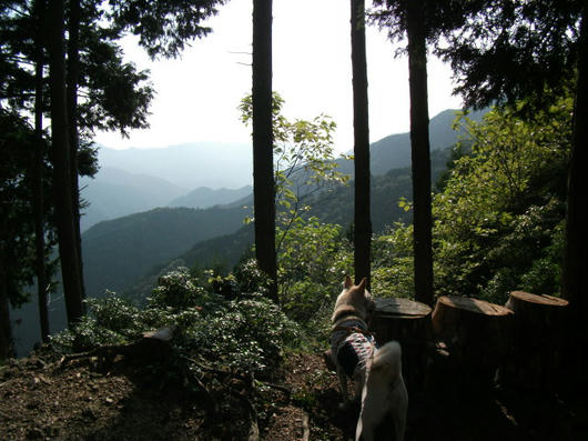 DSCF3857.JPG