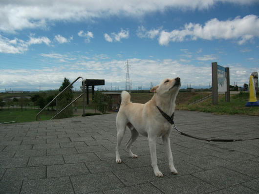 DSCF3969.JPG