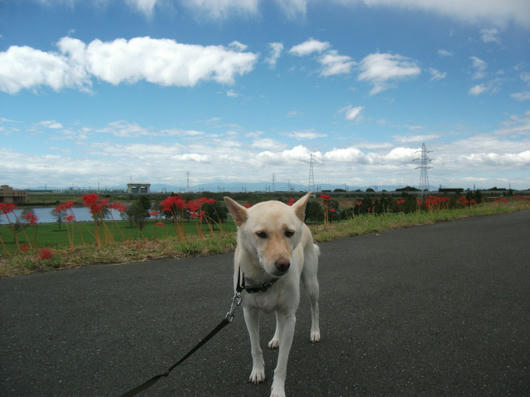DSCF3973.JPG