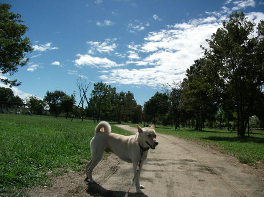 DSCF3978.JPG
