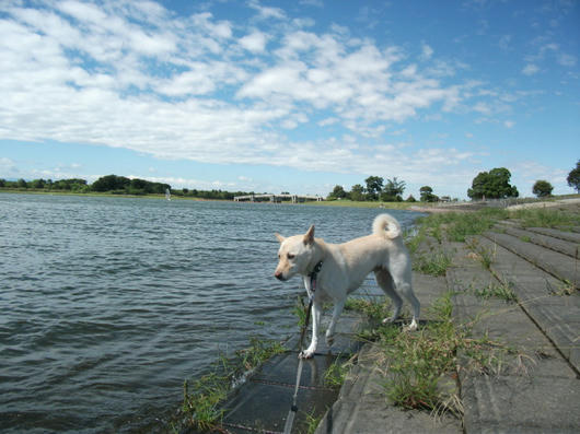 DSCF3982.JPG