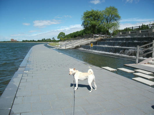 DSCF3985.JPG