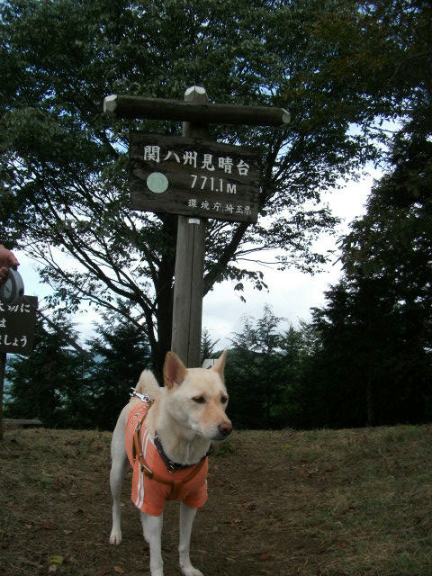 DSCF4232.JPG