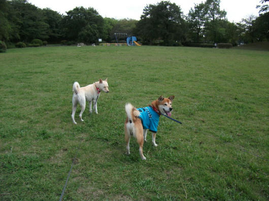 DSCF4250.JPG