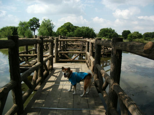 DSCF4266.JPG