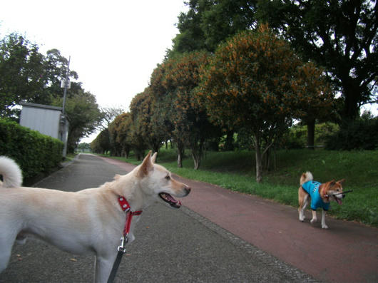 DSCF4273.JPG