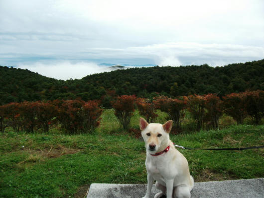 DSCF4394.JPG