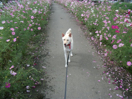 DSCF4601.JPG
