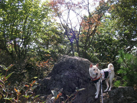 DSCF4888.JPG