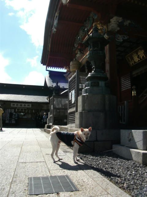 DSCF4938.JPG