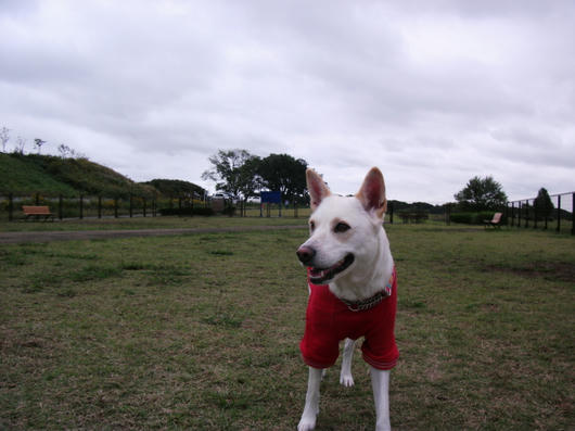 DSCF5005.JPG