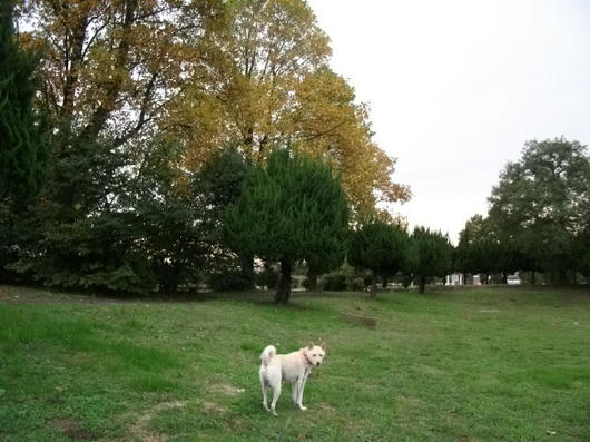 DSCF5149.JPG