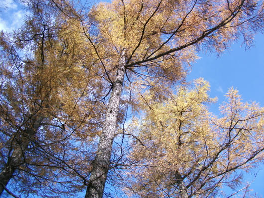 DSCF5336.JPG