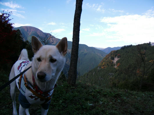 DSCF5374.JPG