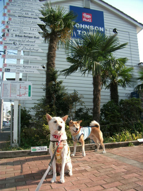 DSCF5452.JPG
