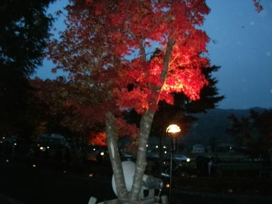 DSCF5641.JPG