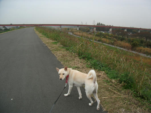 DSCF5665.JPG