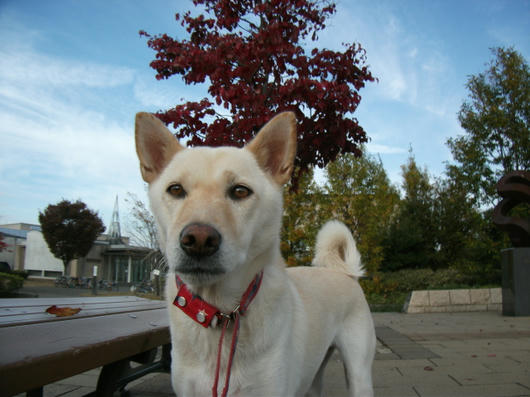 DSCF5814.JPG