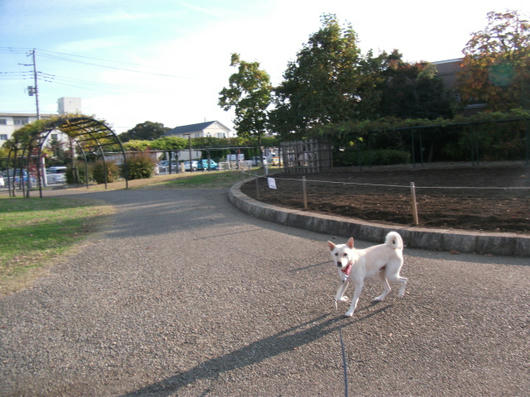 DSCF5778.JPG