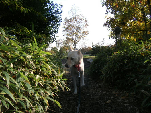 DSCF5784.JPG