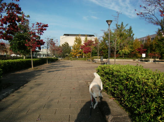 DSCF5772.JPG