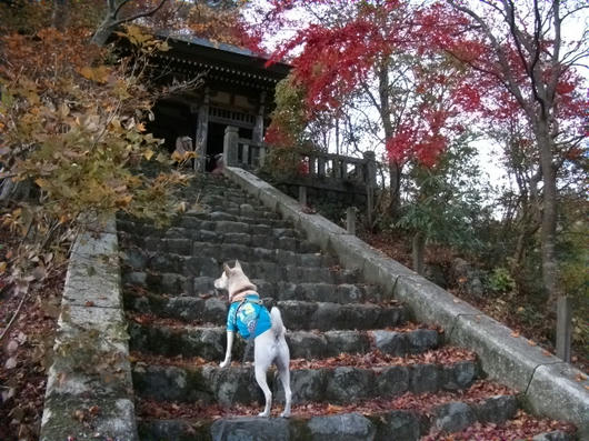 DSCF5918.JPG