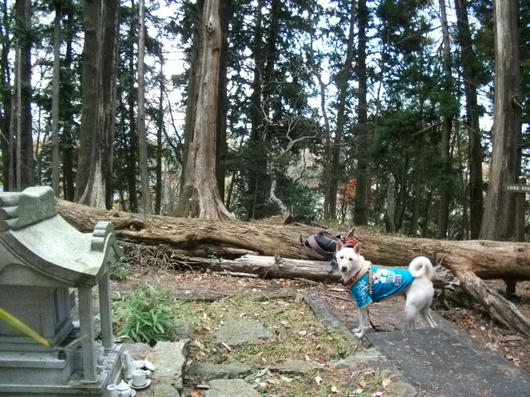 DSCF5957.JPG