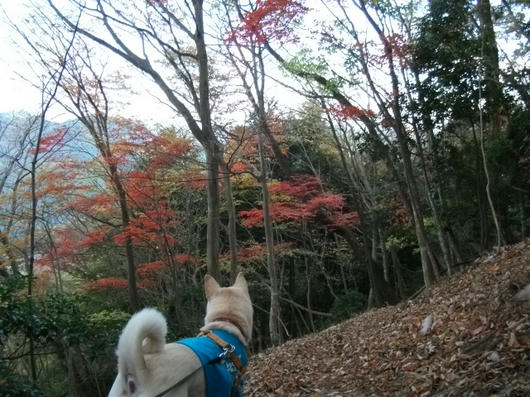 DSCF5983.JPG