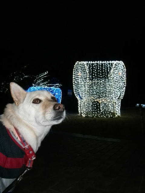 DSCF6154.JPG