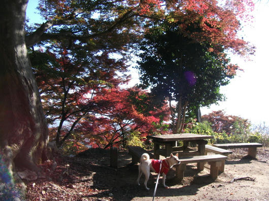 DSCF6287.JPG