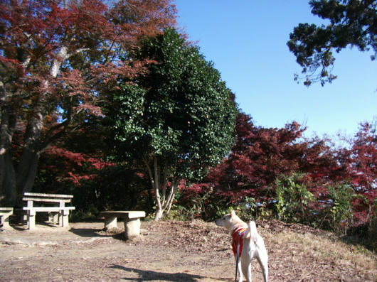 DSCF6279.JPG
