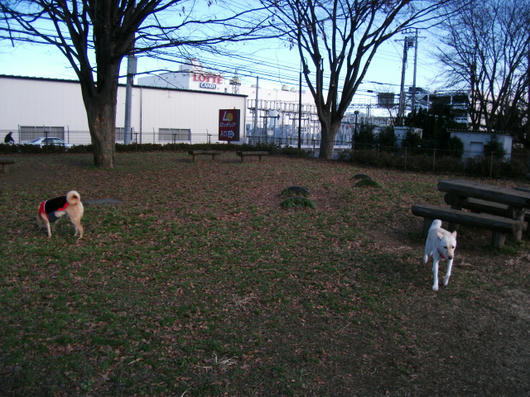 DSCF6449.JPG