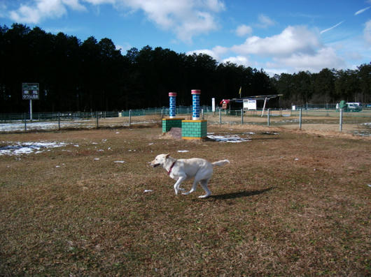 DSCF6544.JPG