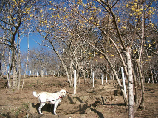 DSCF6578.JPG