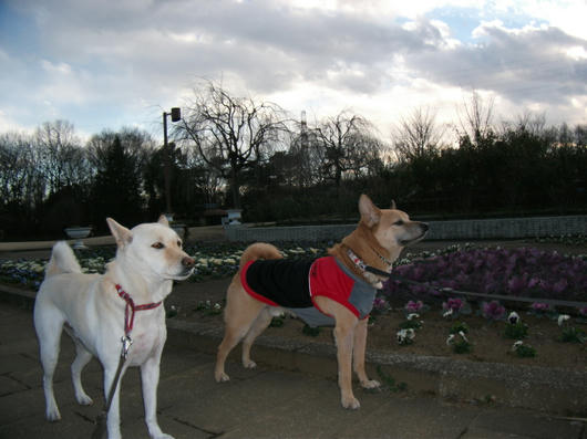 DSCF6518.JPG