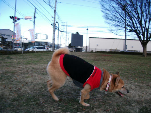 DSCF6471.JPG