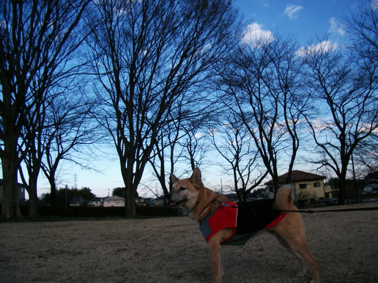 DSCF6516.JPG