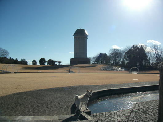 DSCF6597.JPG