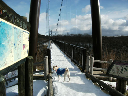 DSCF6673.JPG