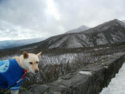 DSCF6779.JPG