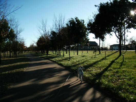 DSCF6824.JPG